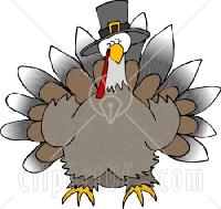 Wild-Thanksgiving-Turkey-Pilgrim-Hat1.jpg 9.6K